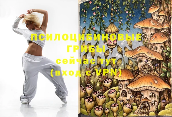 молекула духа Абинск