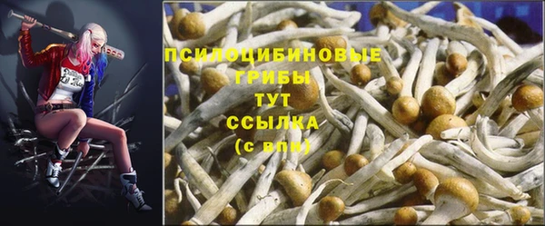ГАЛЛЮЦИНОГЕННЫЕ ГРИБЫ Алексин