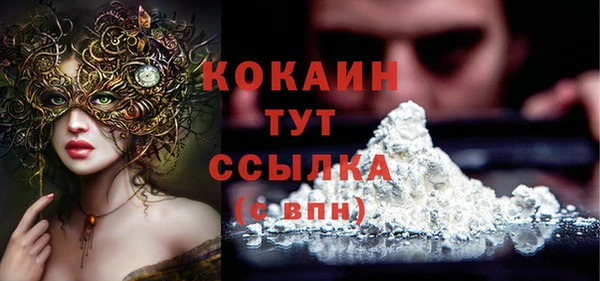 спиды Алзамай