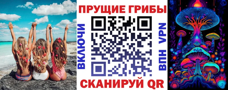 цены   Сокол  Псилоцибиновые грибы прущие грибы 