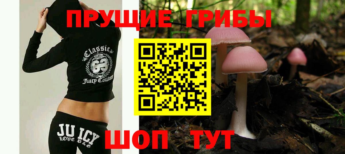 Галлюциногенные грибы Psilocybine cubensis Сокол